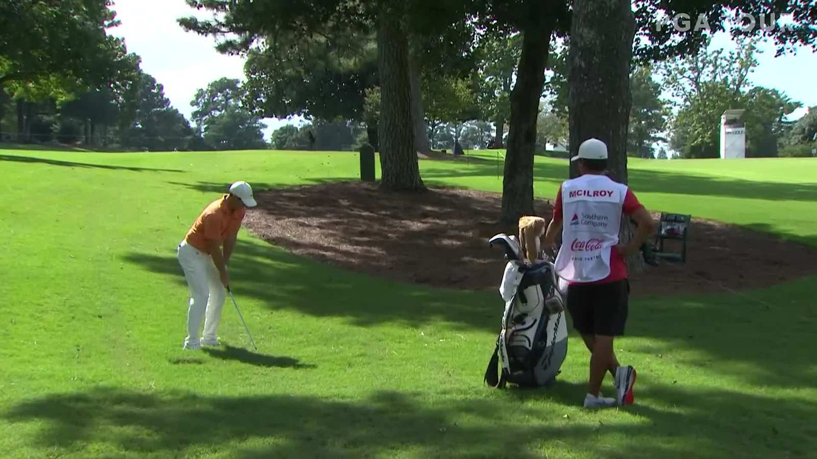 Rory McIlroy escapes the trees to set up birdie TOUR Championship