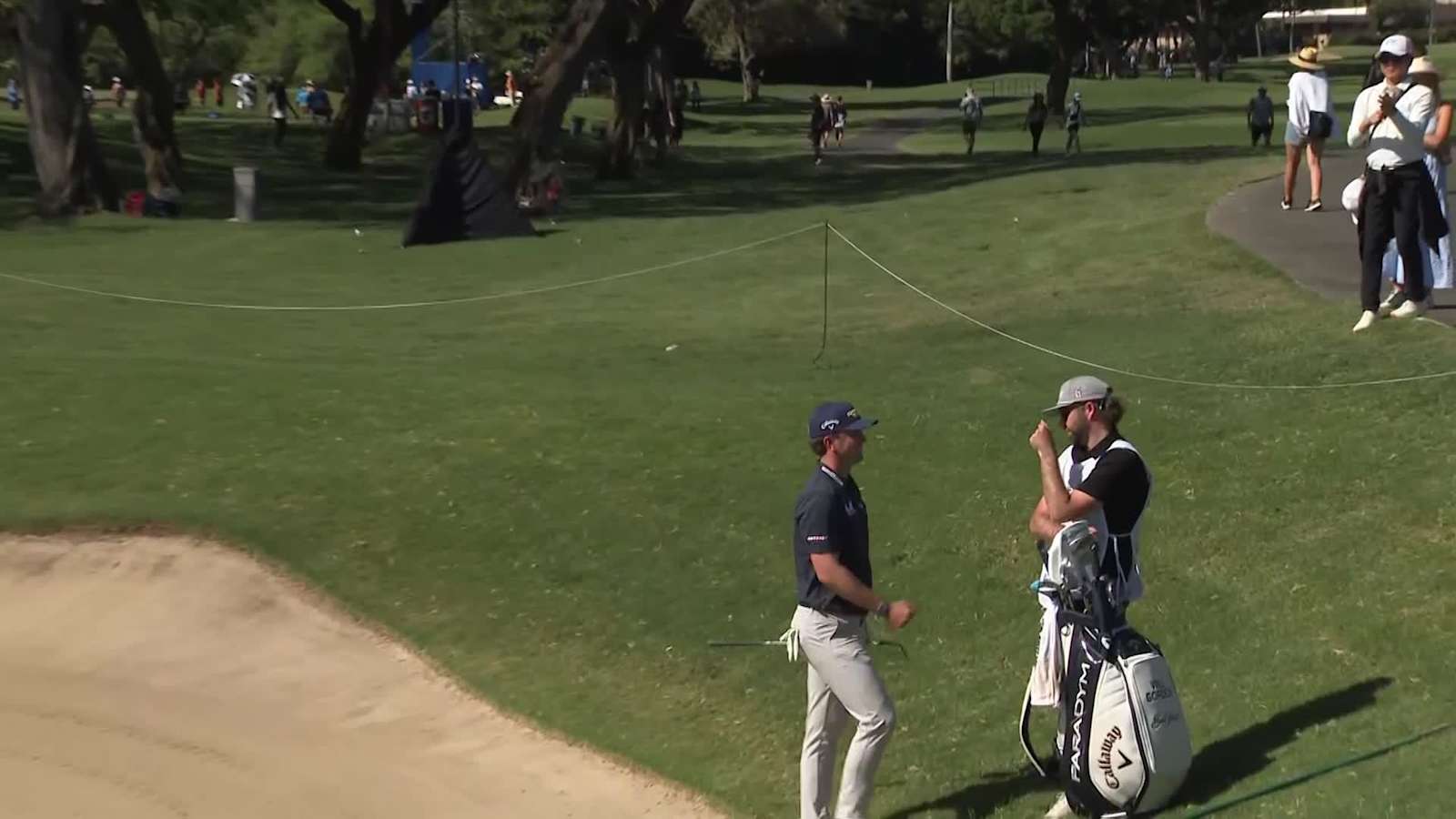 Will Gordon's bunker birdie hole-out at Sony Open