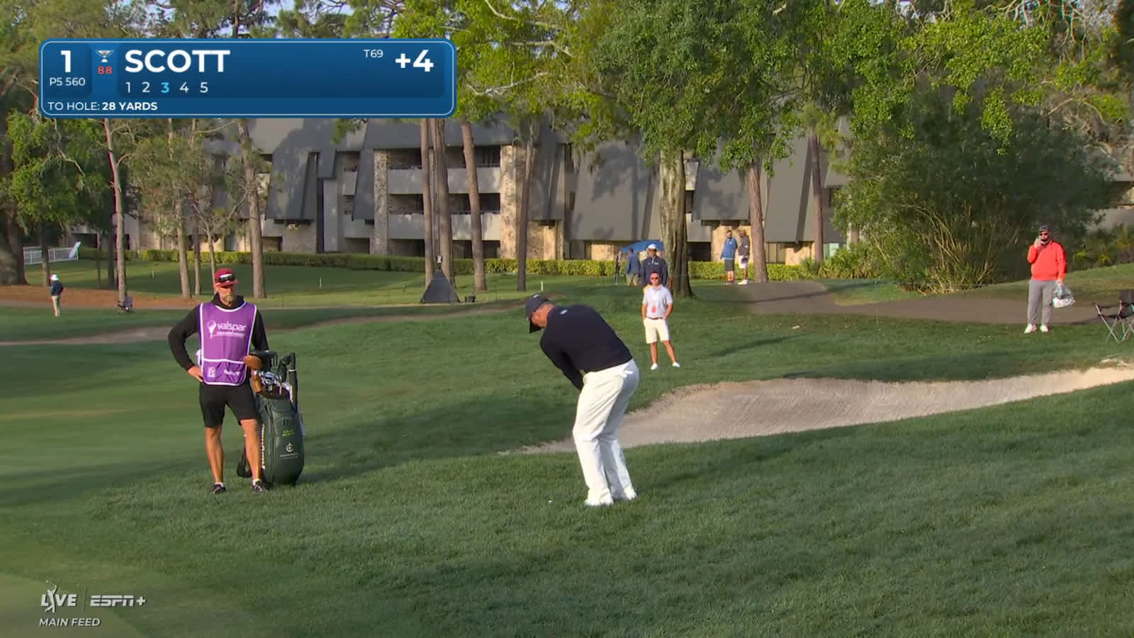Adam Scott chips out of rough to set up birdie at Valspar