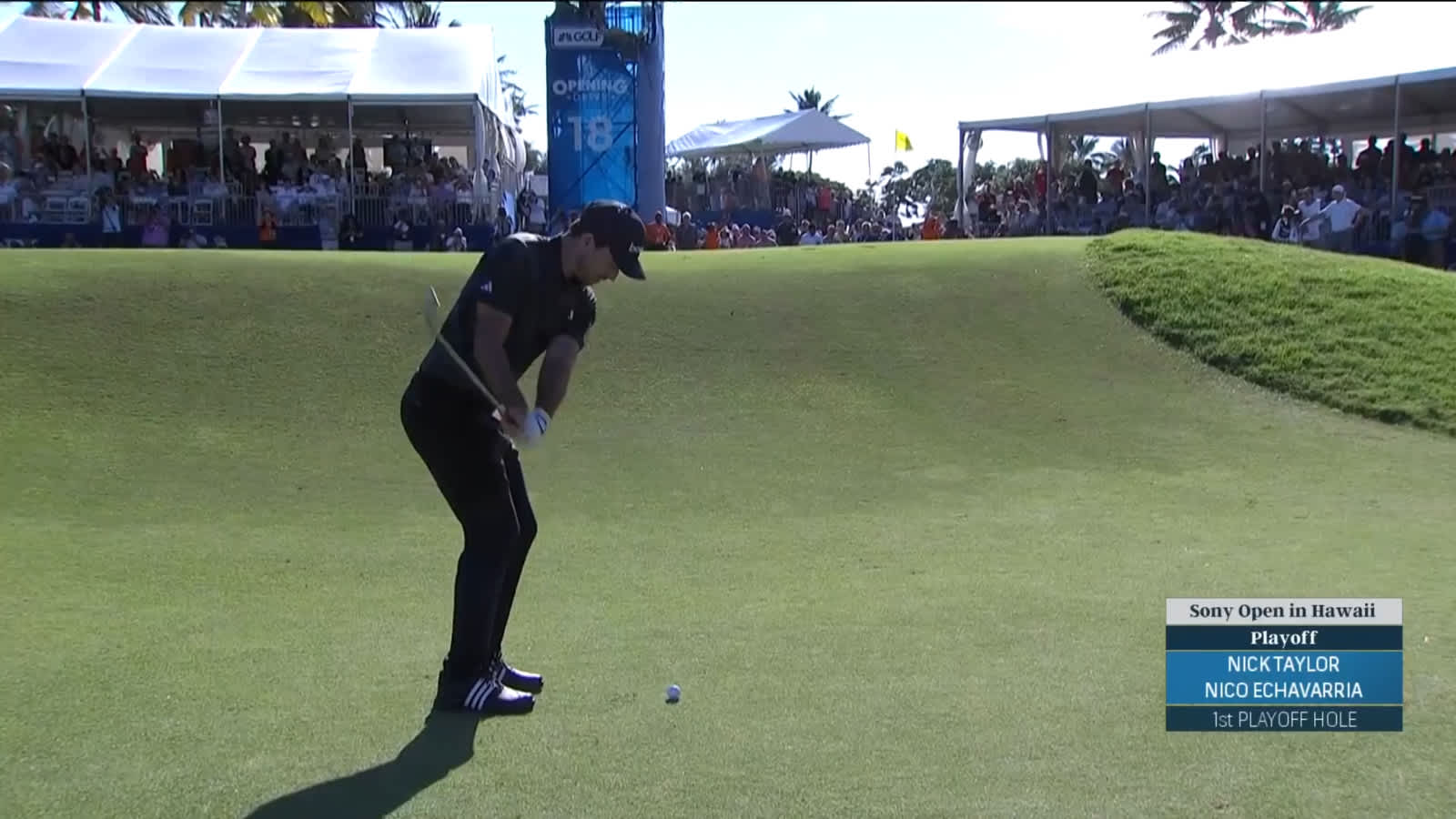 Nick Taylor's impressive up-and-down leads to birdie on the first playoff hole at Sony Open