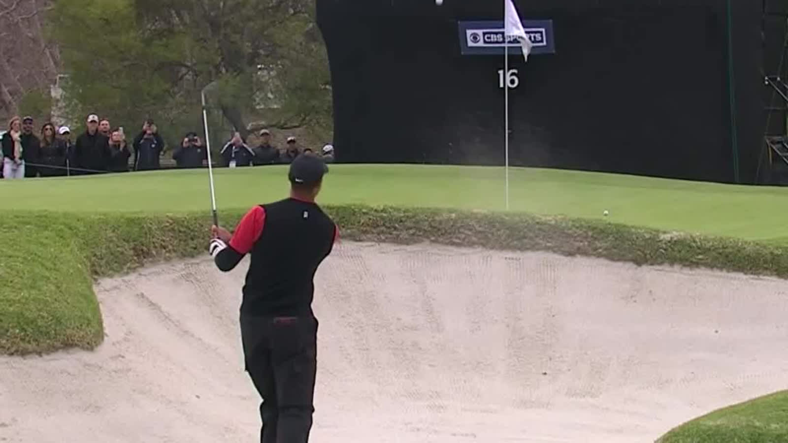 Tiger Woods holes out from bunker for birdie at Genesis Open