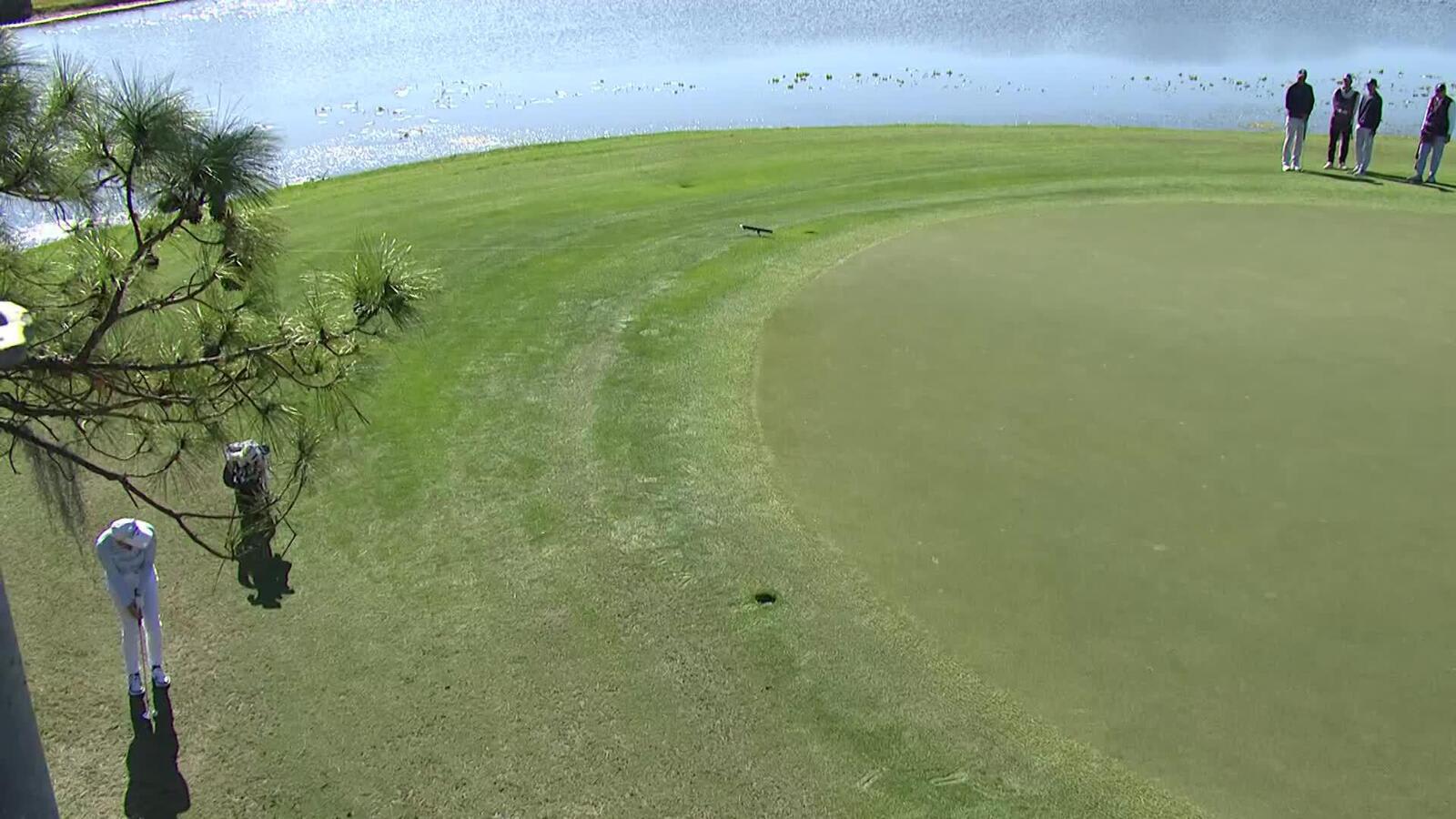 Annika Sorenstam chips in for birdie at PNC Championship