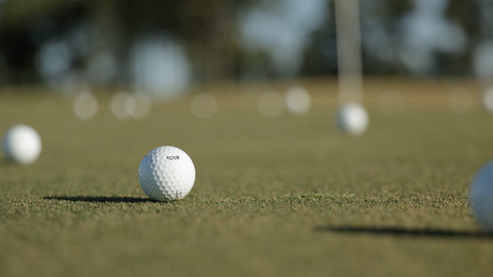 The Five: What are big storylines for FedExCup Fall?