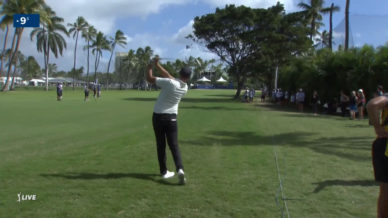 Ludvig Åberg's 222-yard near-albatross at Sony Open