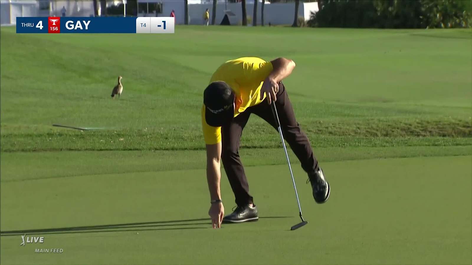 Brian Gay drains 12-footer for birdie at Honda