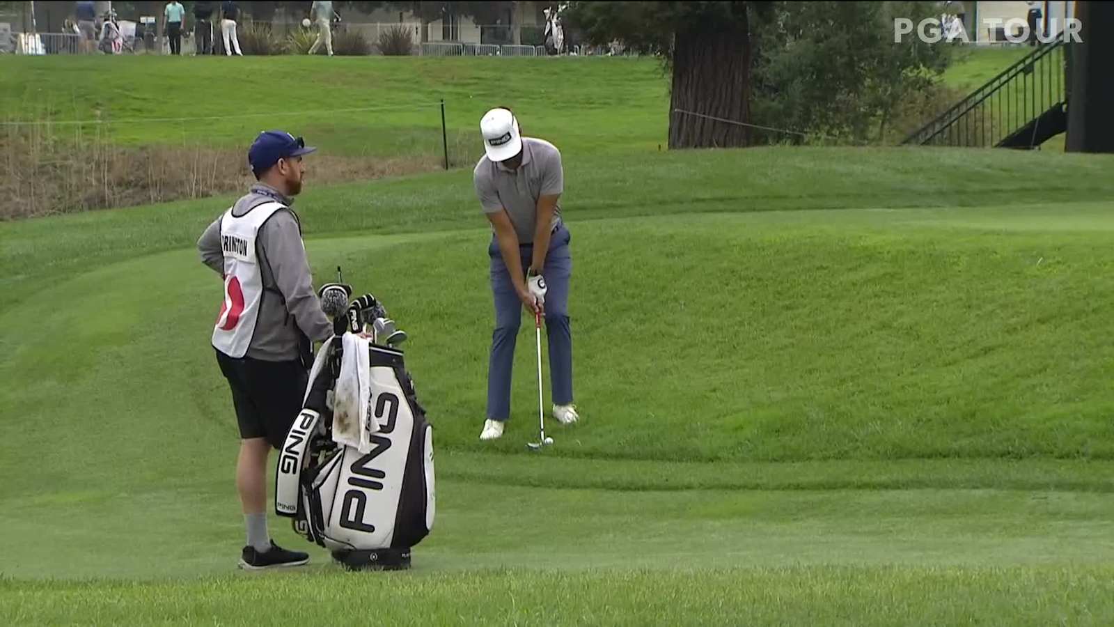 Scott Harrington’s difficult chip leads to birdie at Safeway Open 