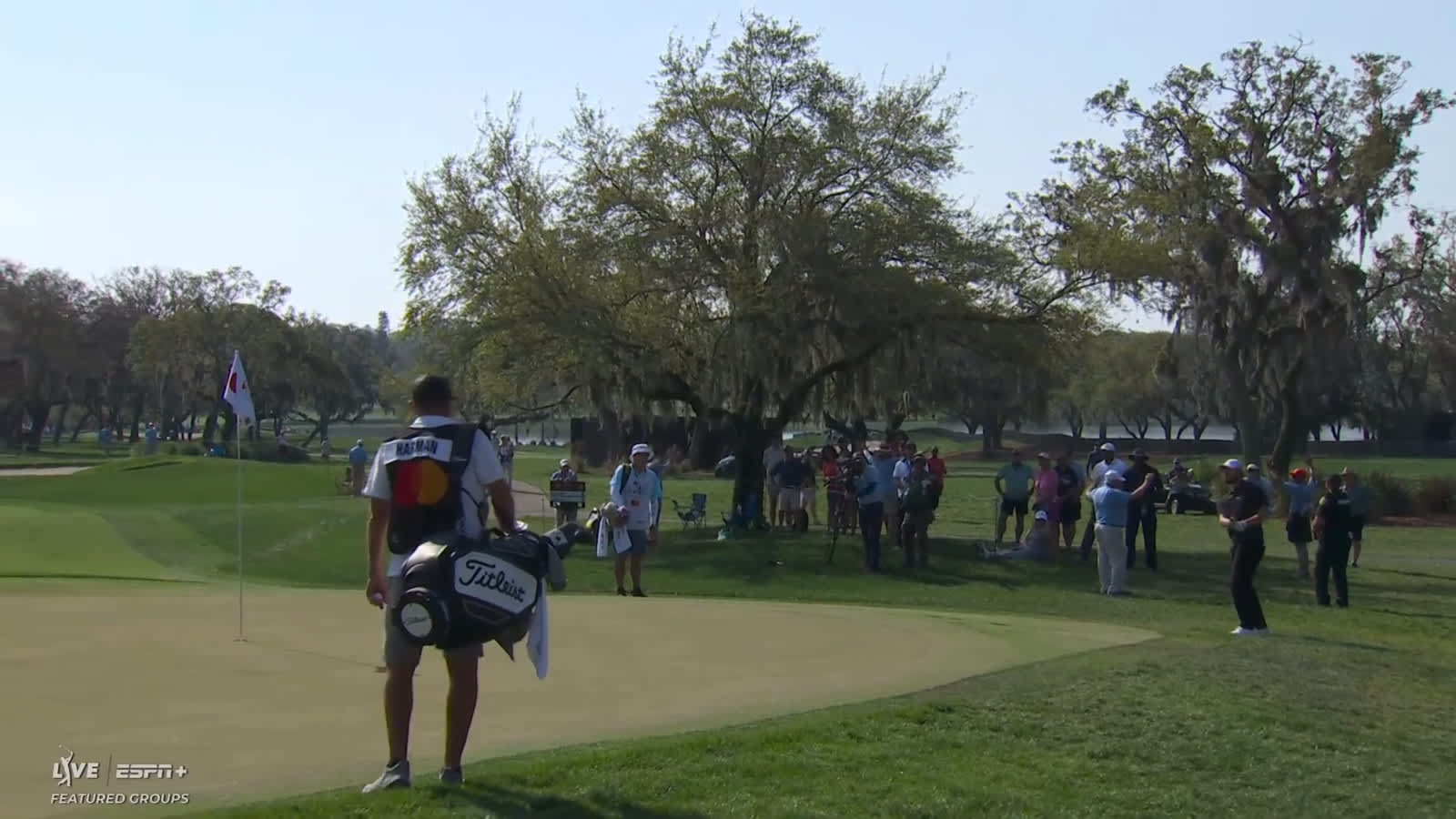 Patrick Cantlay chips in for birdie at Arnold Palmer Invitational