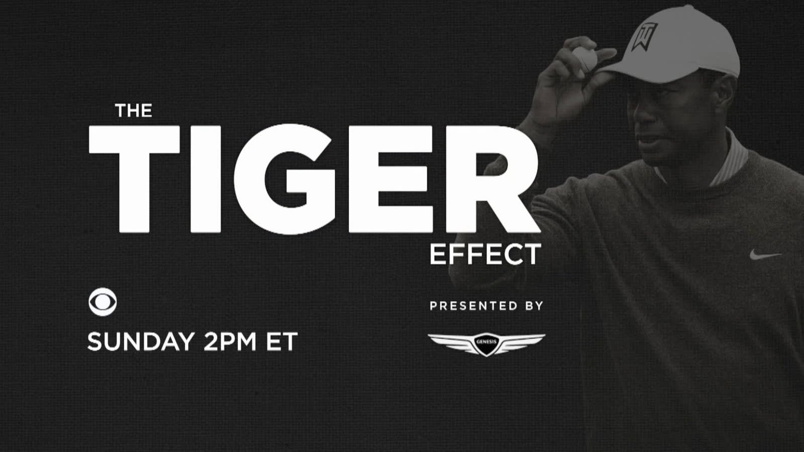 Tiger Effect The Tiger Effect trailer