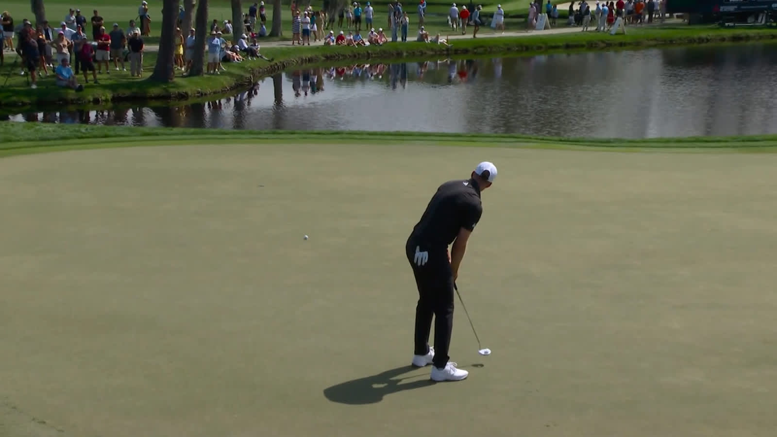Daniel Berger sends in 29-footer for birdie at Arnold Palmer Invitational