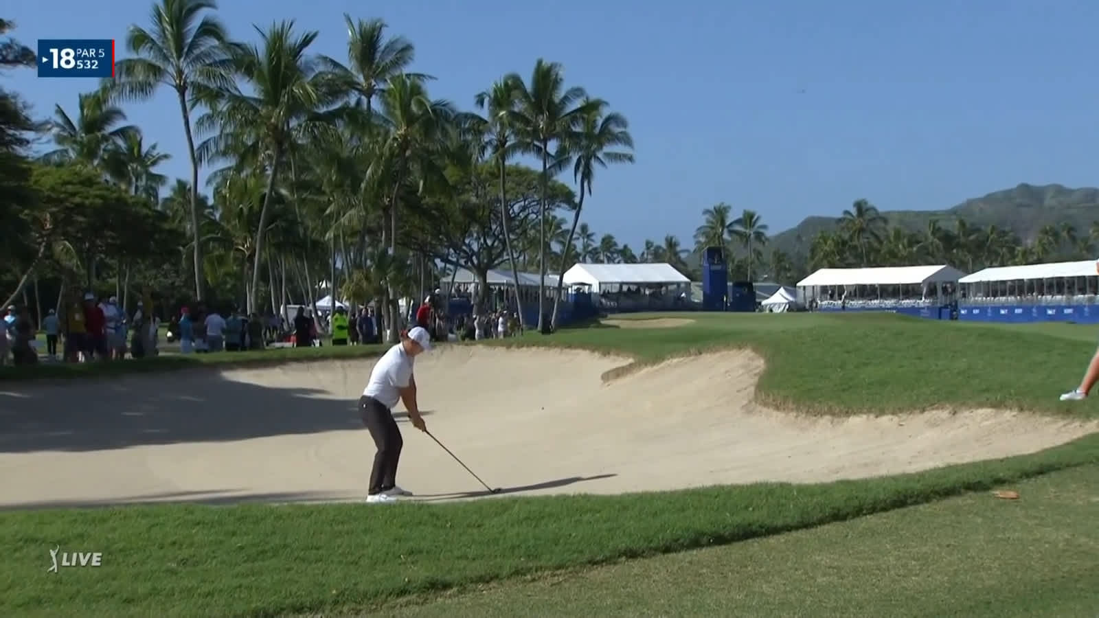 Danny Lee's fairway wood from bunker leads to birdie at Sony Open