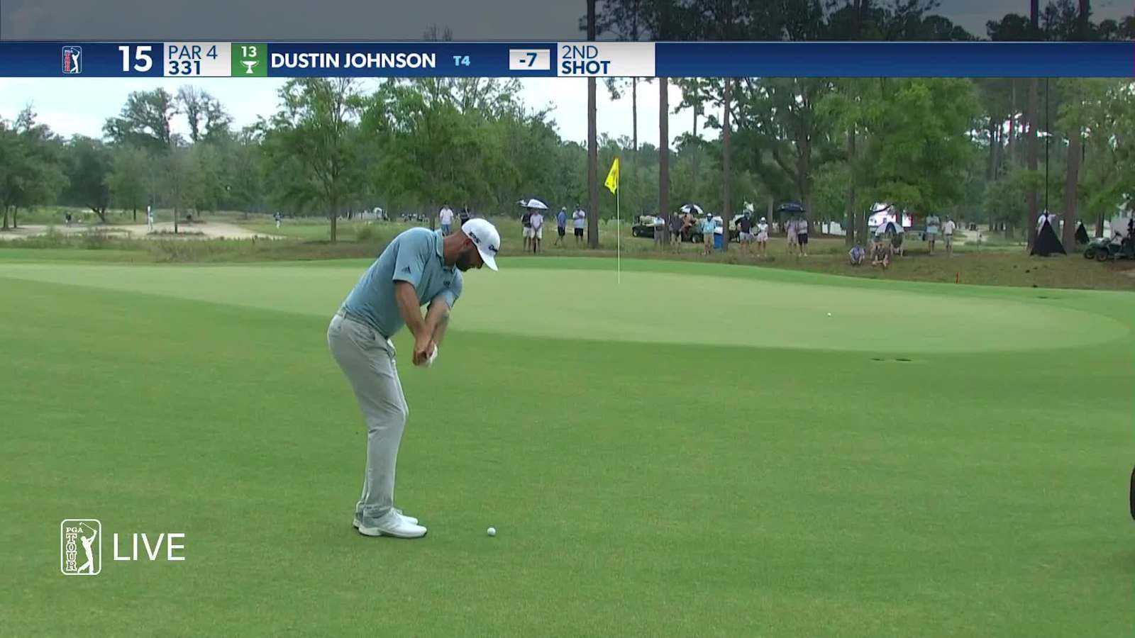 Dustin Johnson's nice chip to set up birdie at Palmetto Championship