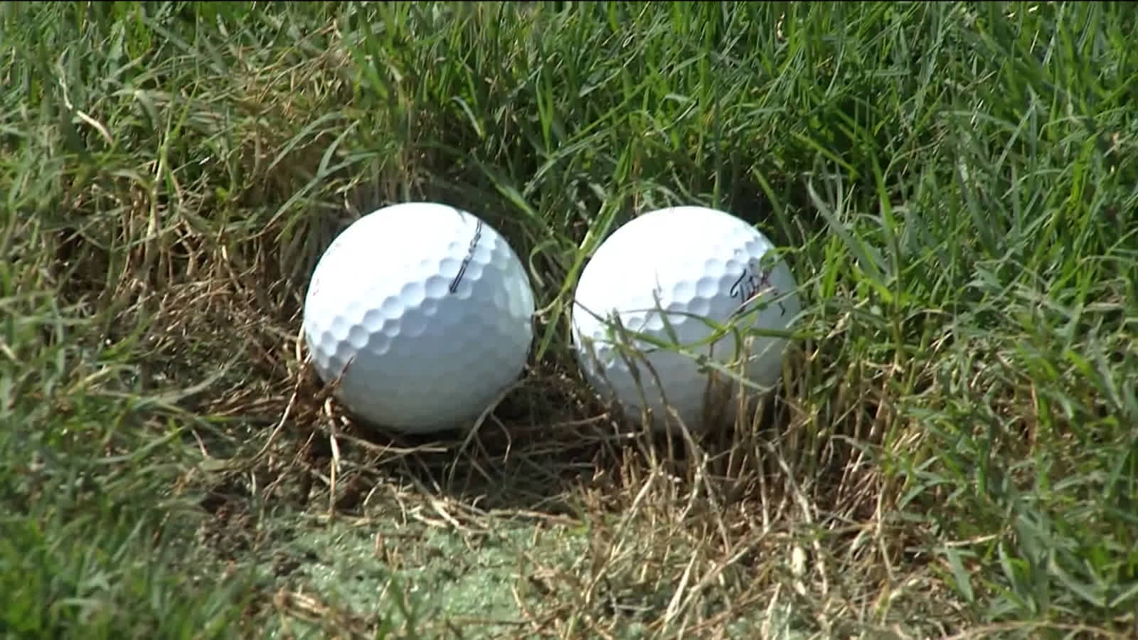 Jordan Spieth's birdie after tee shot ends in awkward position at Sentry