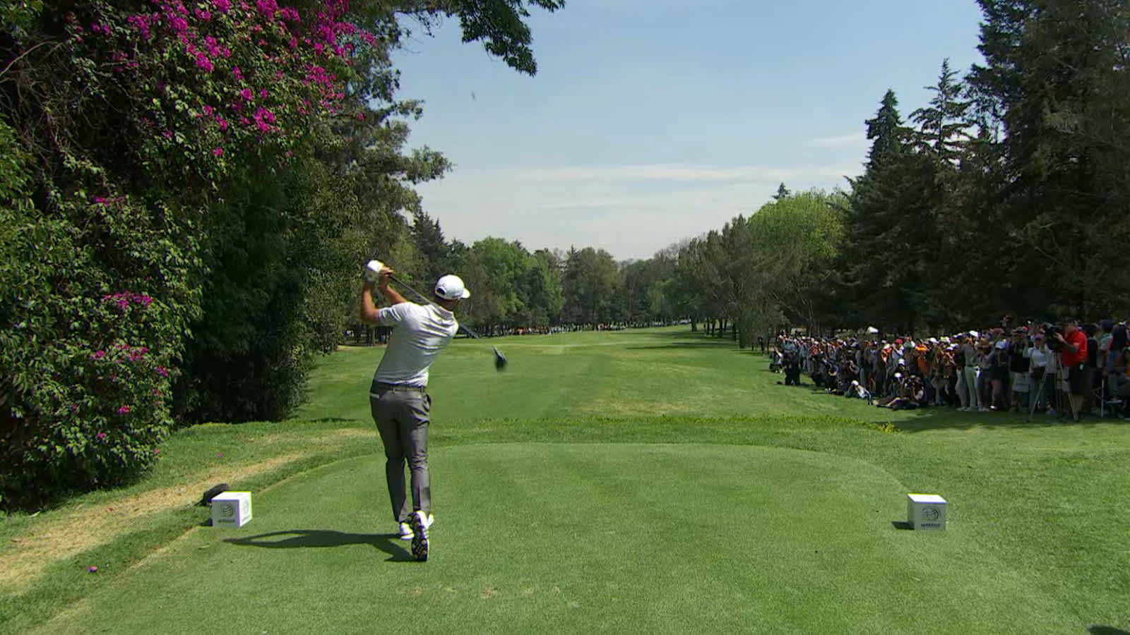 Dustin Johnson's golf swing from 2008 - 2019