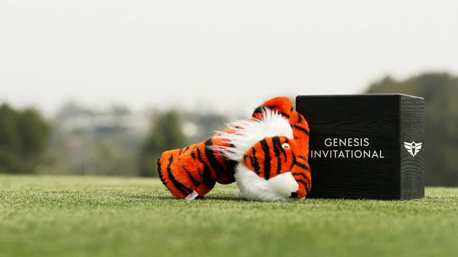 The Genesis Invitational 2024 tournament recap