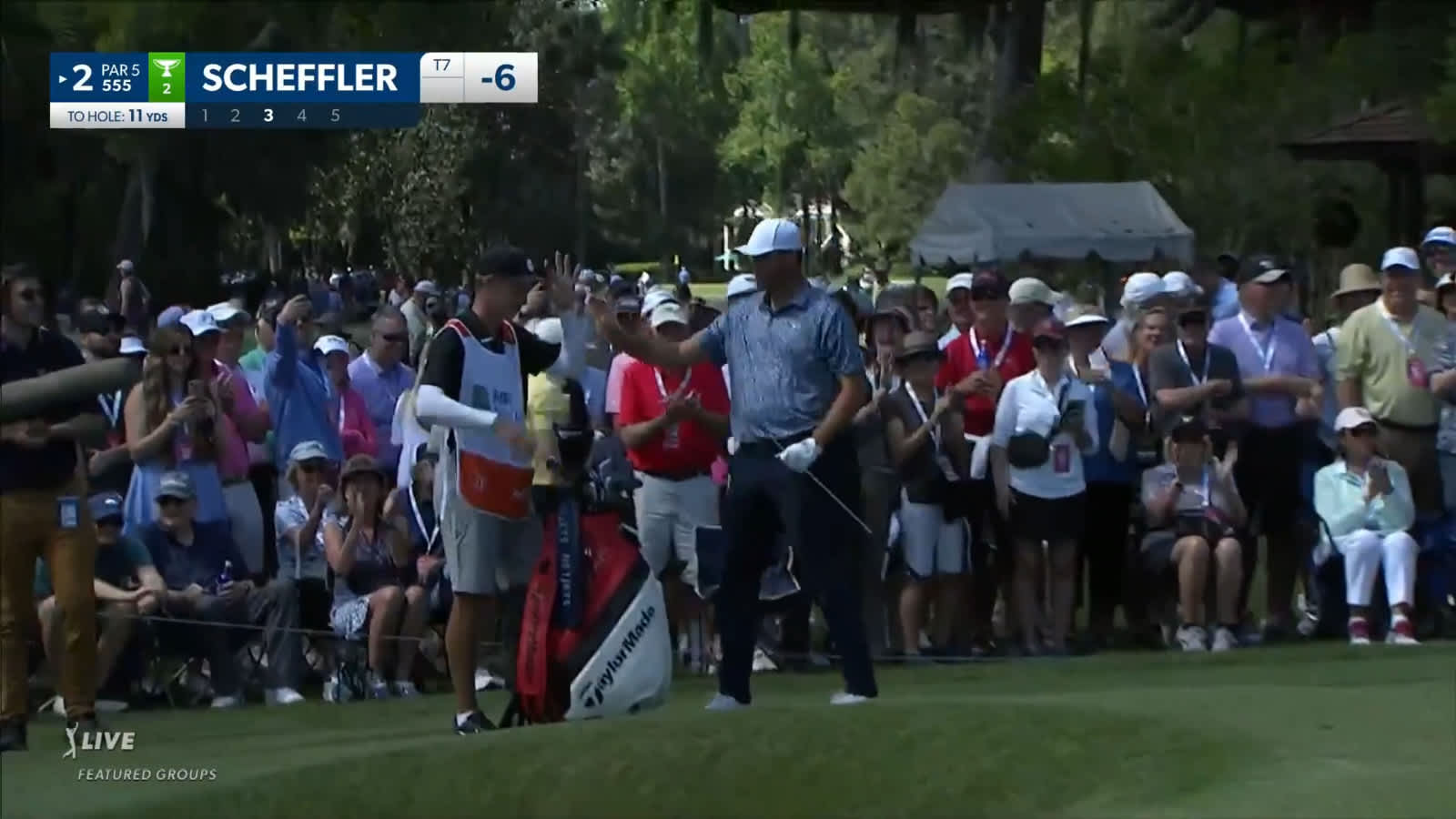 Scottie Scheffler chips in for eagle at RBC Heritage