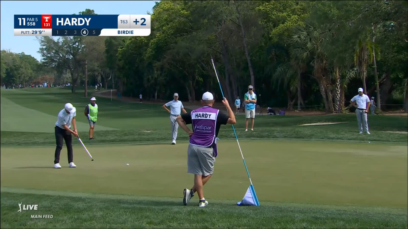 Nick Hardy sends in 29-footer for birdie at Valspar