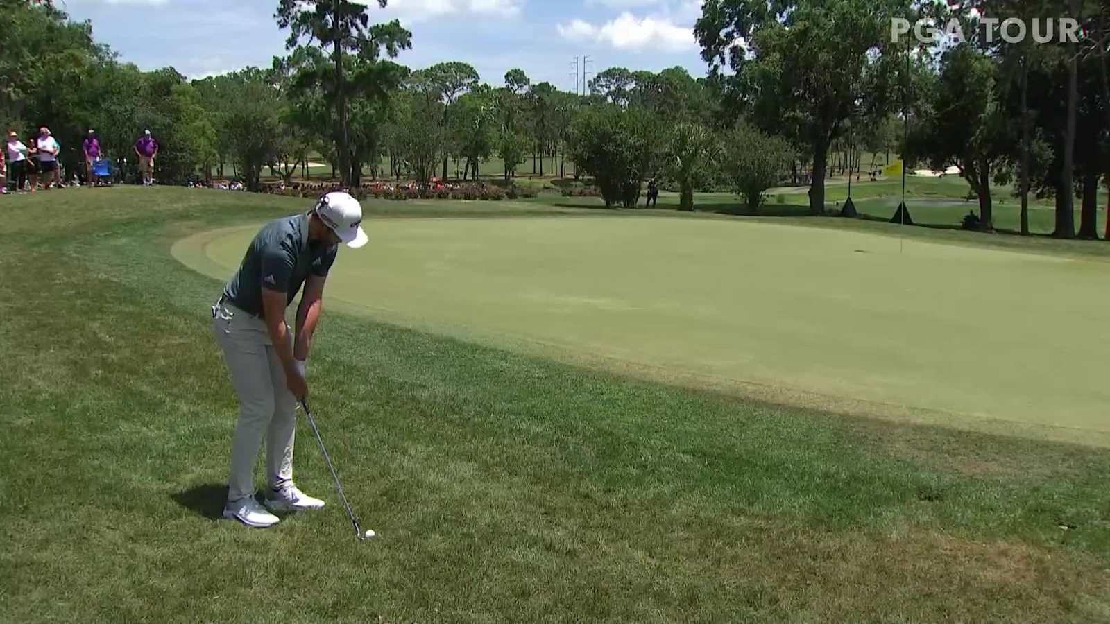 Sam Burns chips to 3 feet and birdies No. 1 at Valspar