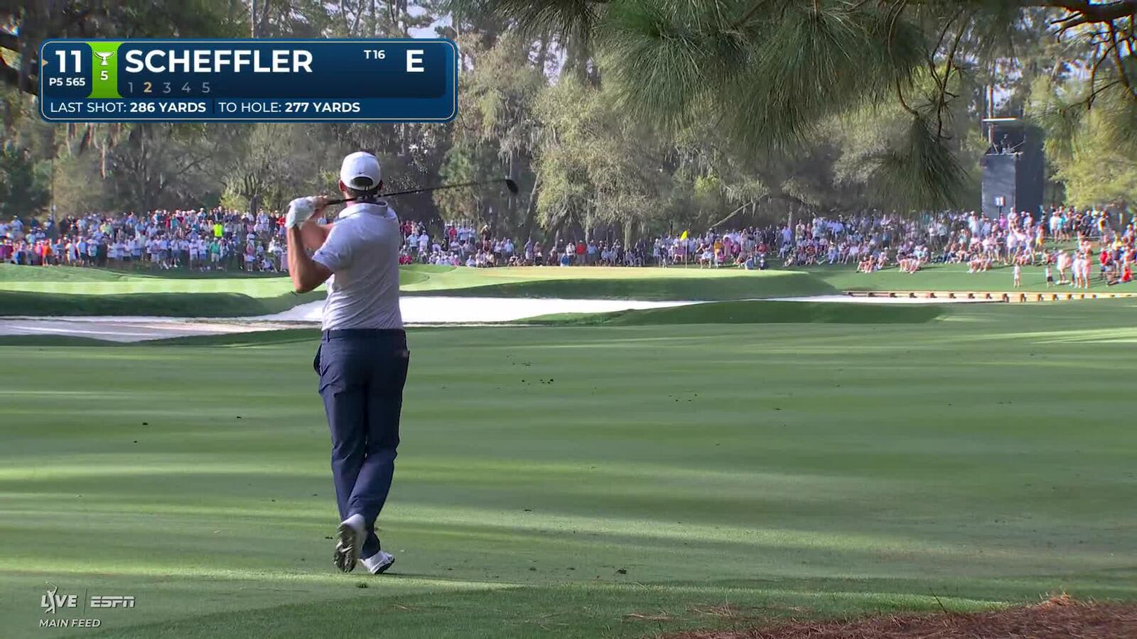 Scottie Scheffler chips in from 80 feet for birdie on No. 11 at THE PLAYERS