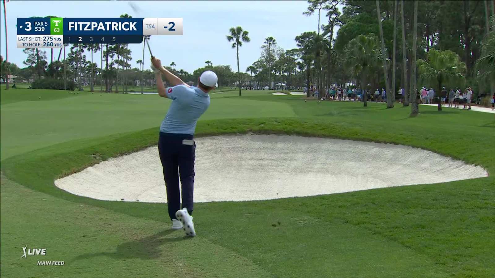 Matt Fitzpatrick's chip leads to a birdie at Cognizant Classic