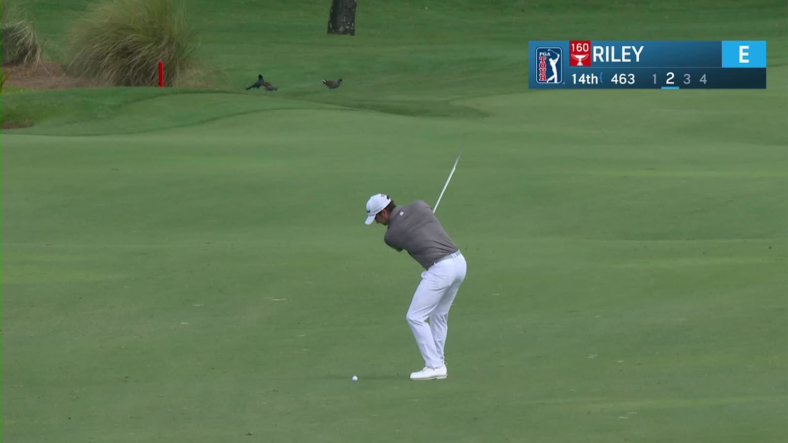 Davis Riley makes birdie on No. 14 at Cognizant Classic