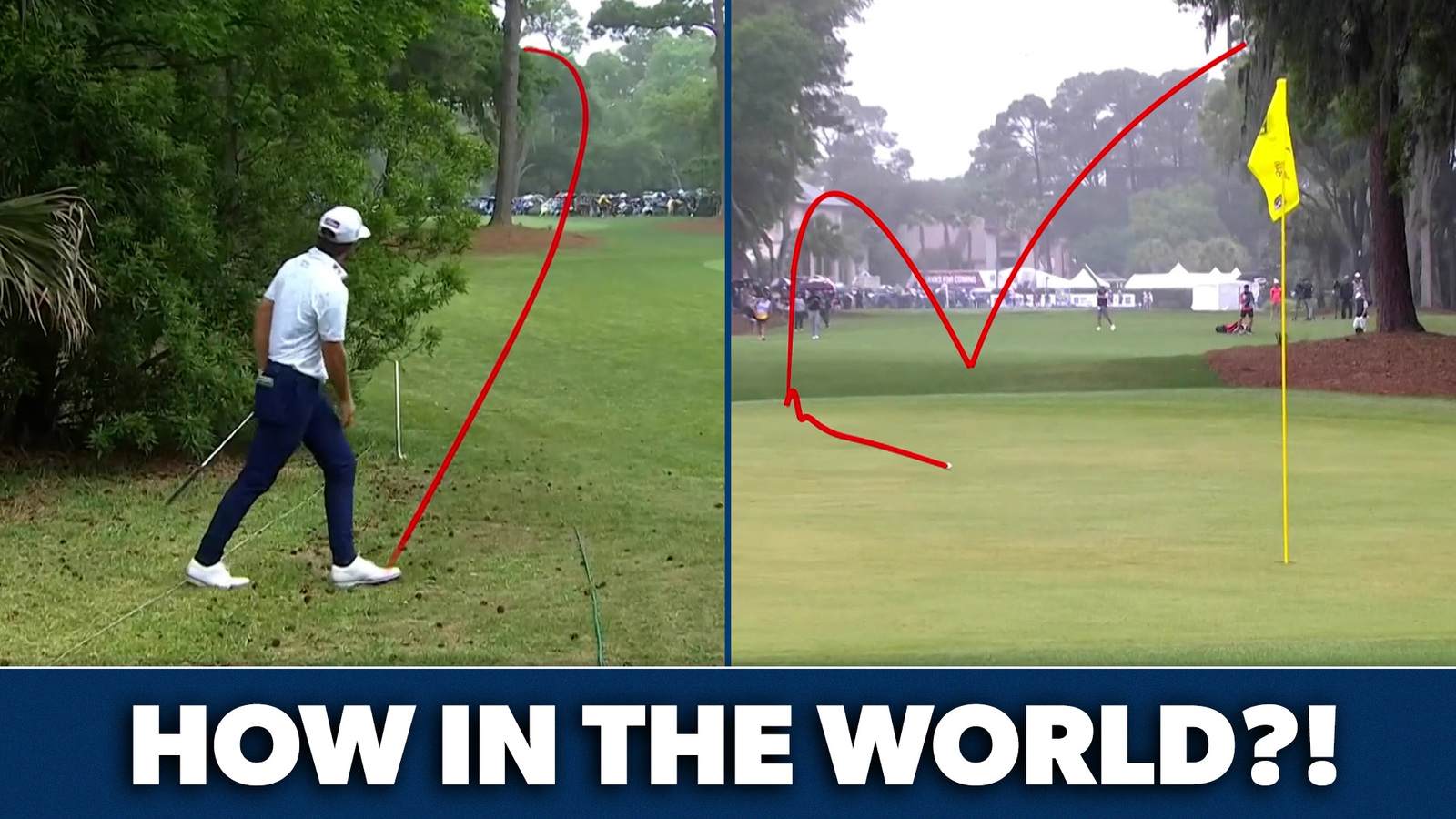 Cameron Young’s best shots of his career