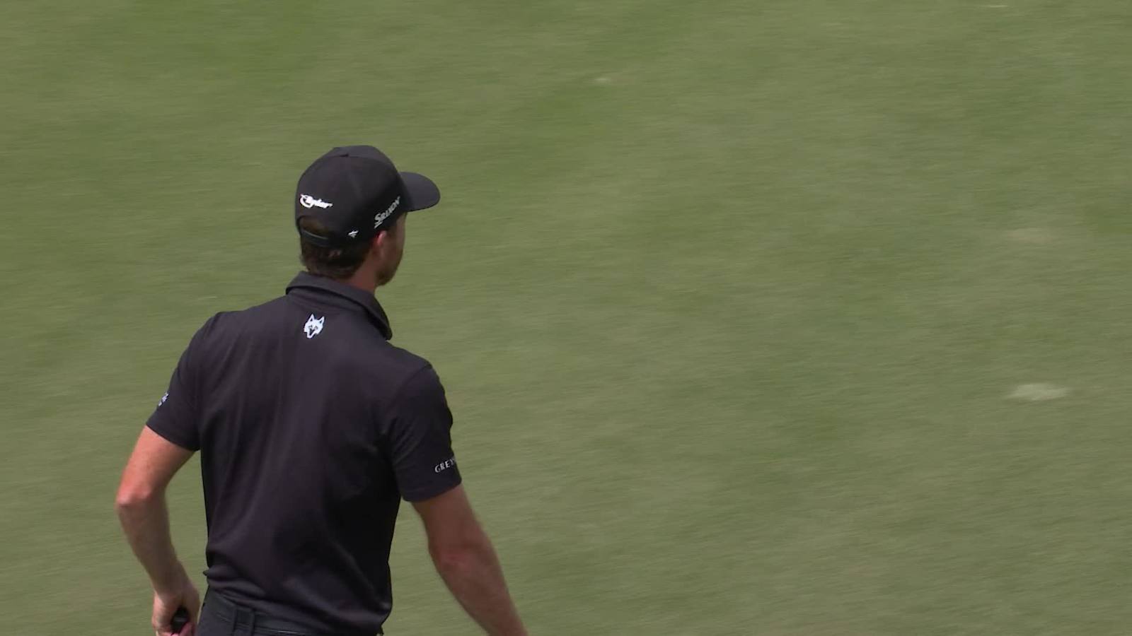 Sam Ryder chips in from collar of the green at Valspar
