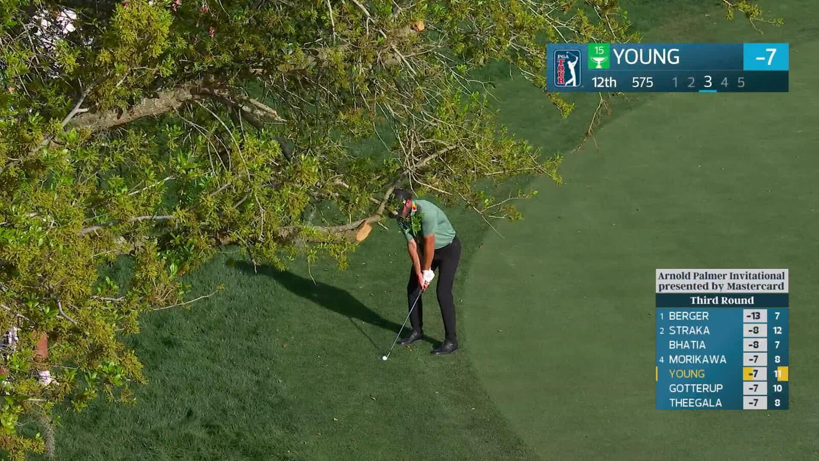 Cameron Young chips from 42 yards to 3 feet, sets up birdie on No. 12 at Arnold Palmer