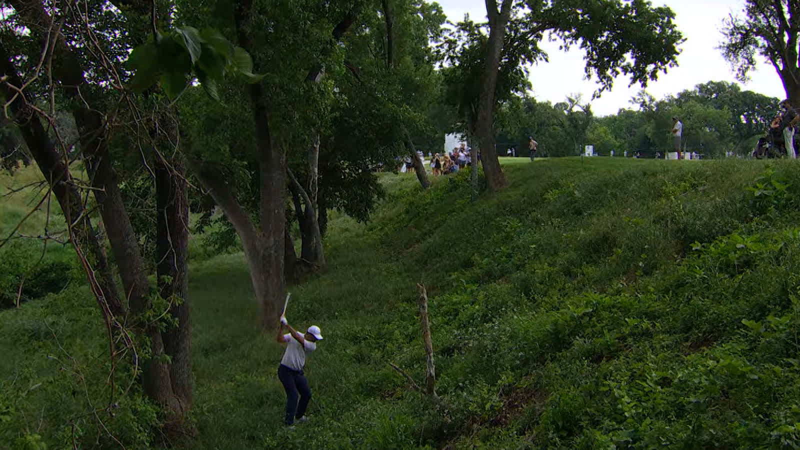 Craziest shots from 2025 season