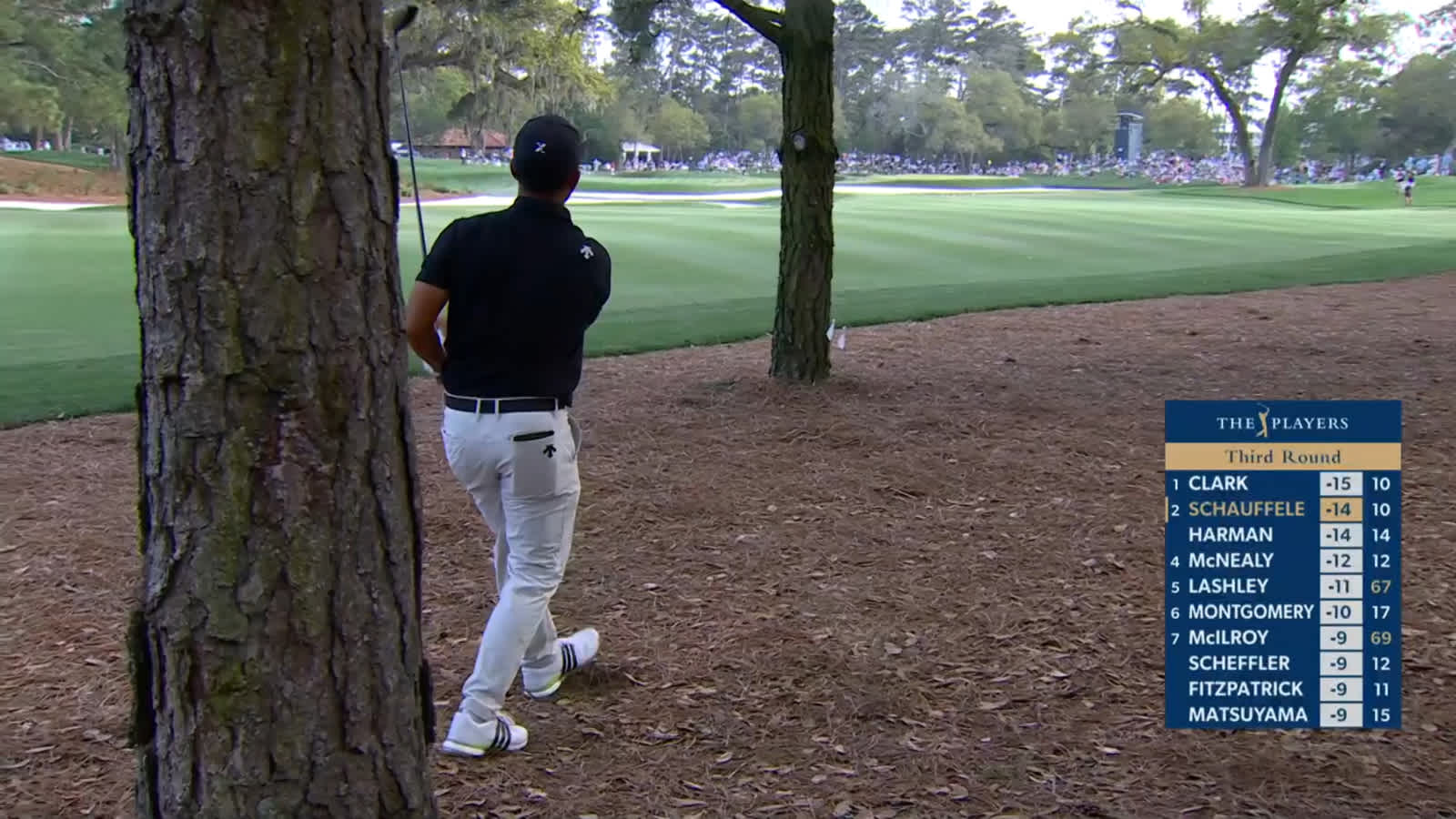 Xander Schauffele escapes the pine straw to set up birdie at THE PLAYERS