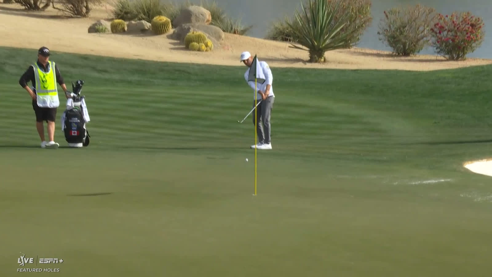 Adam Svensson chips in for birdie at WM Phoenix Open