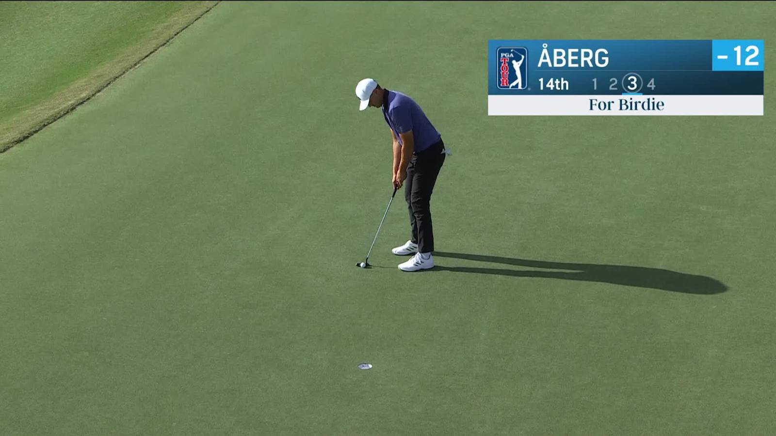 Ludvig Åberg rolls in birdie putt at Hero World Challenge