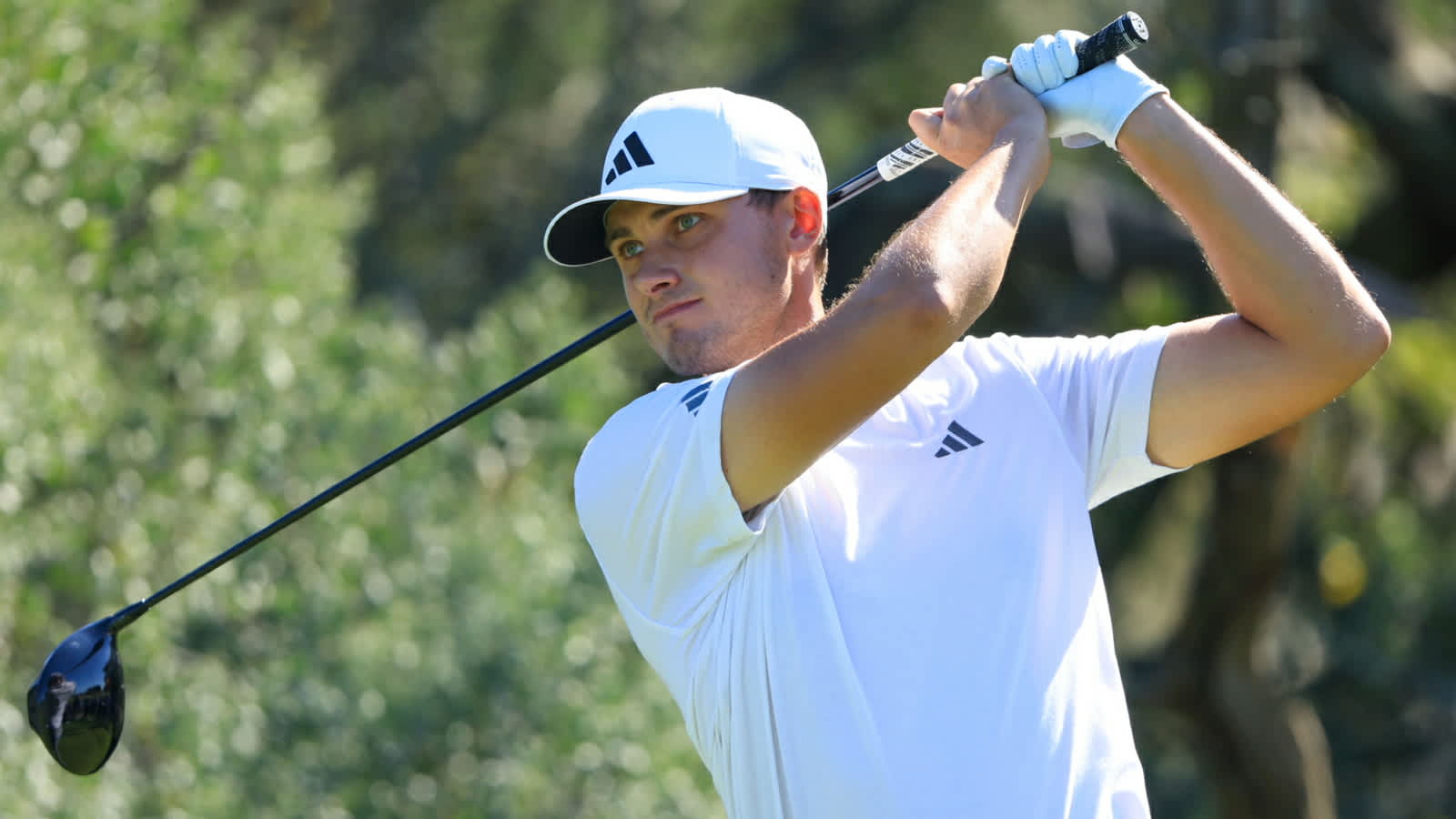 Ludvig Åberg’s Round 3 highlights from The RSM Classic