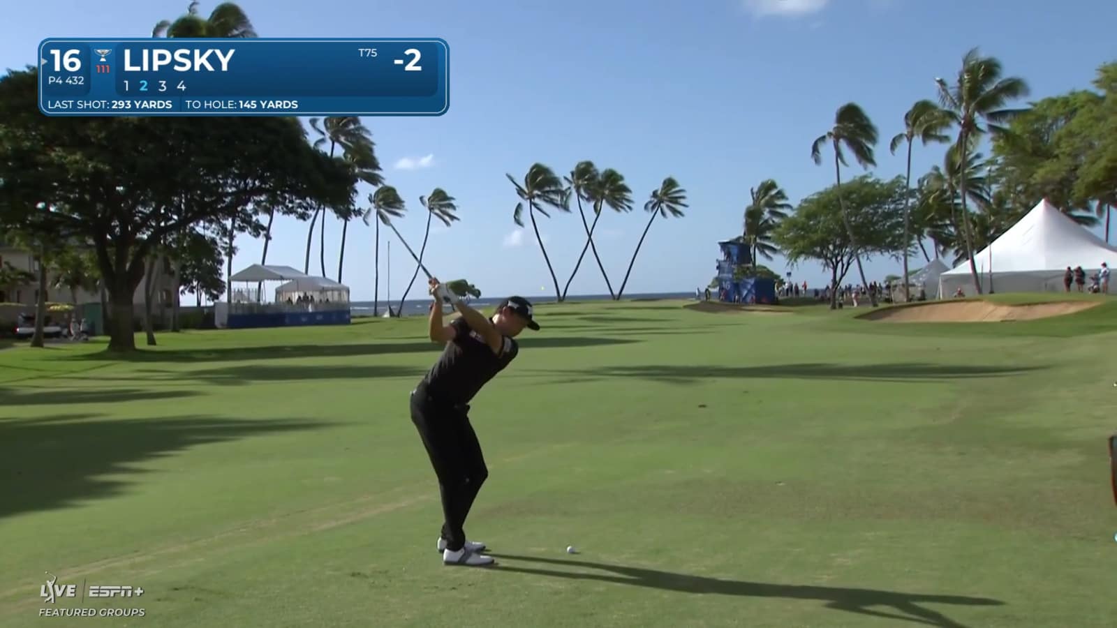 David Lipsky buries birdie putt after nearly hooping approach shot at Sony Open