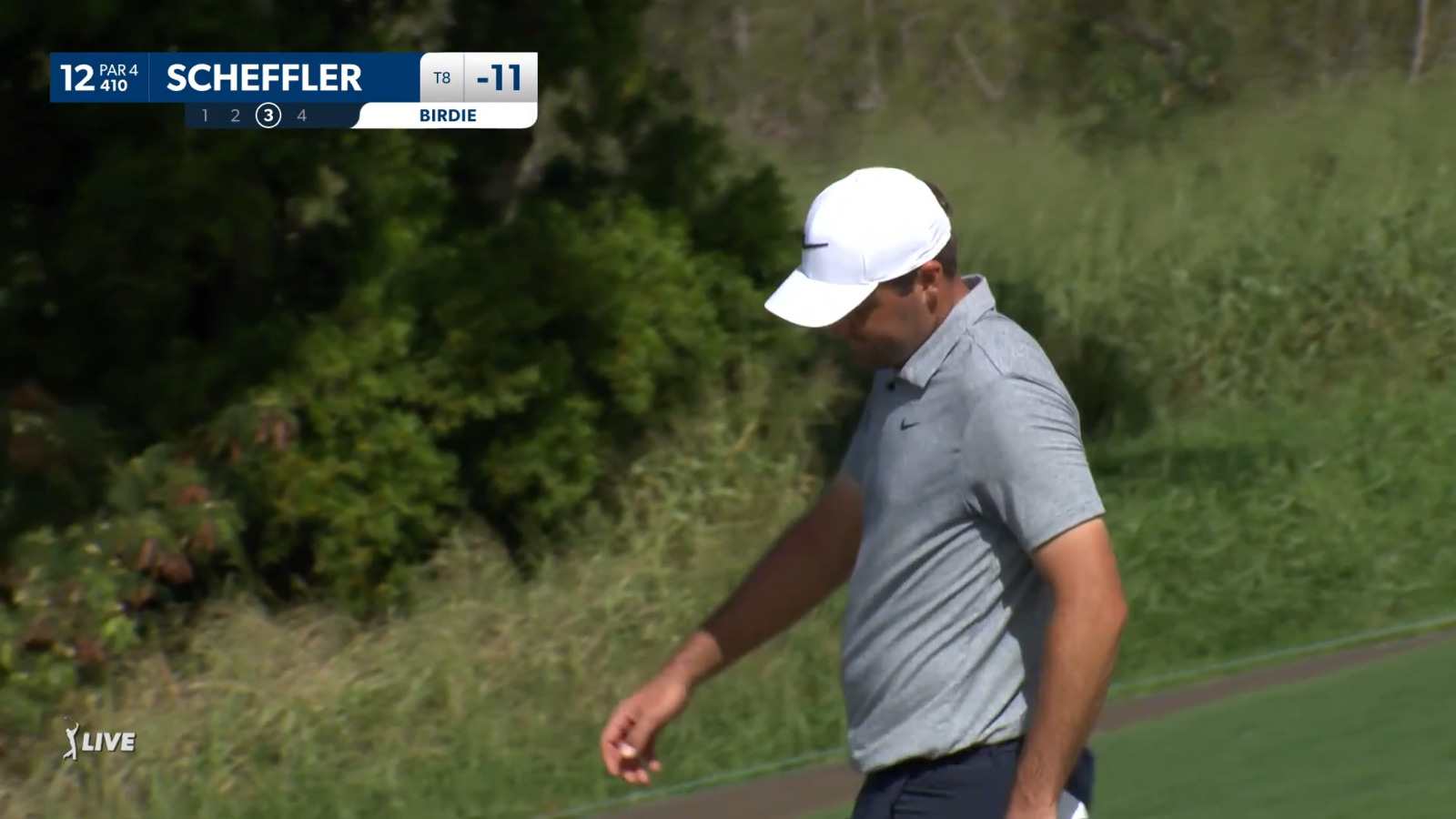 Scottie Scheffler curls in birdie putt at Sentry