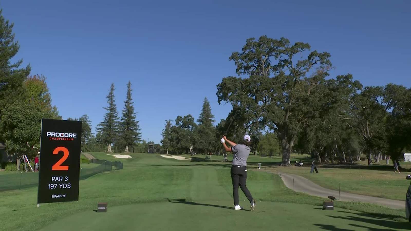 Trace Crowe hunts flagstick off the tee and birdies at Procore