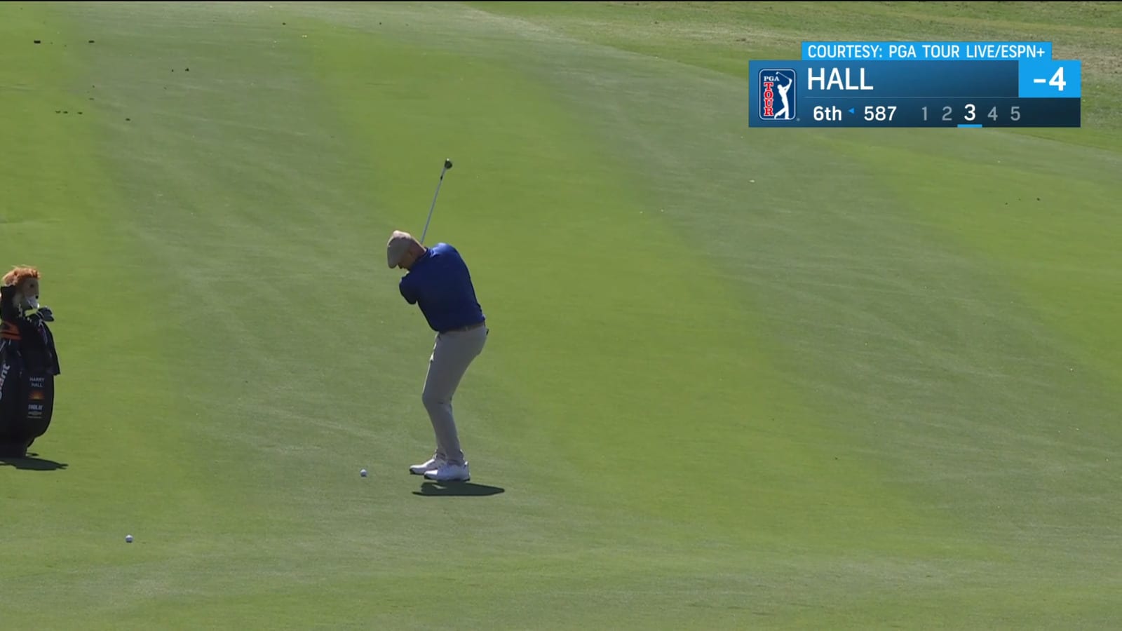 Harry Hall holes out for eagle at Mexico Open