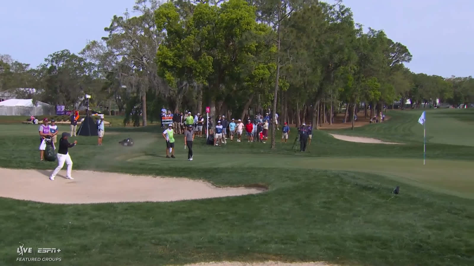 Adam Scott gets up-and-down for birdie at Valspar