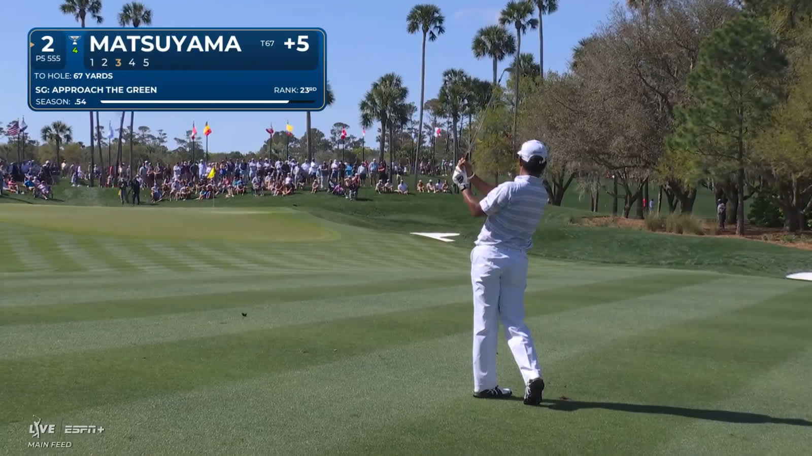 Hideki Matsuyama's wonderful approach sets up birdie at THE PLAYERS