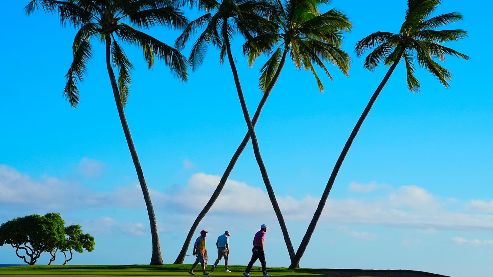 Crowded leaderboard in Honolulu at Sony Open