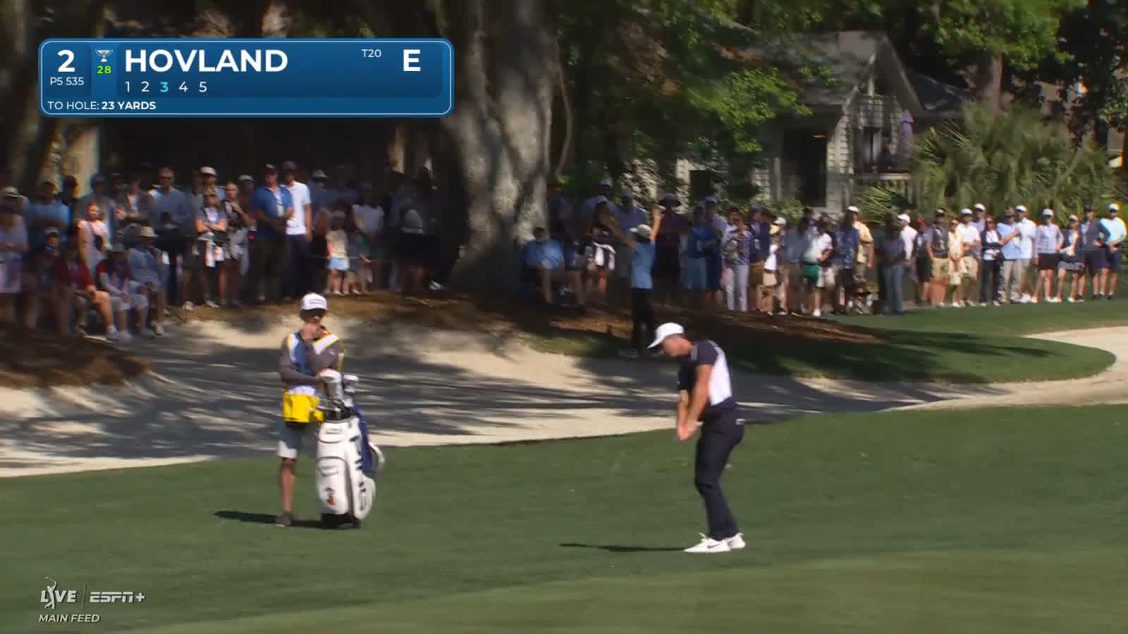 Viktor Hovland's chip sets up birdie at RBC Heritage