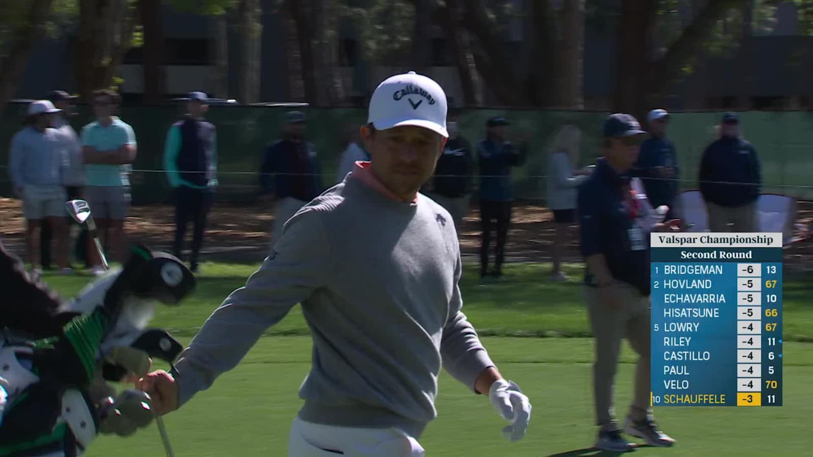 Xander Schauffele hunts flagstick from 171 yards and birdies at Valspar