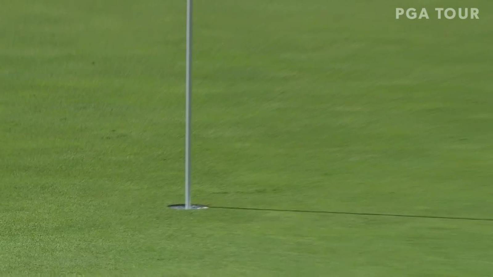 Adam Svensson chips in for birdie at Nationwide Children's