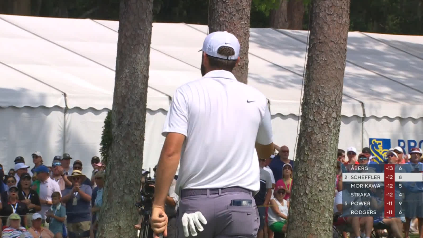 Scottie Scheffler buries a 36-foot birdie putt at RBC Heritage
