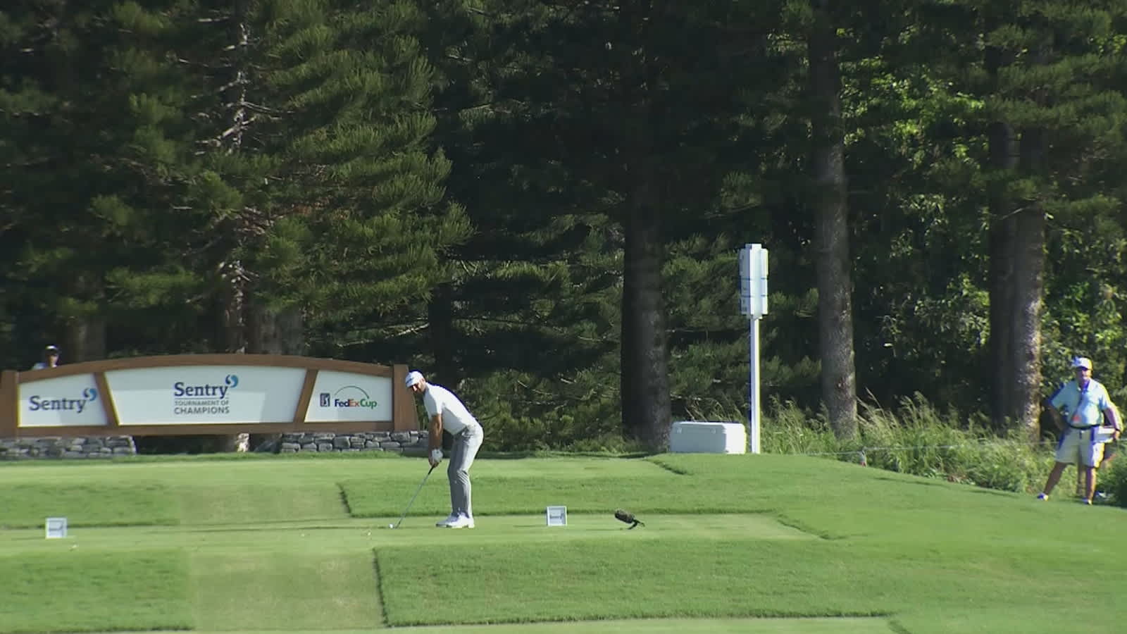 Dustin Johnson's tee shot sets up a kick-in birdie at Sentry