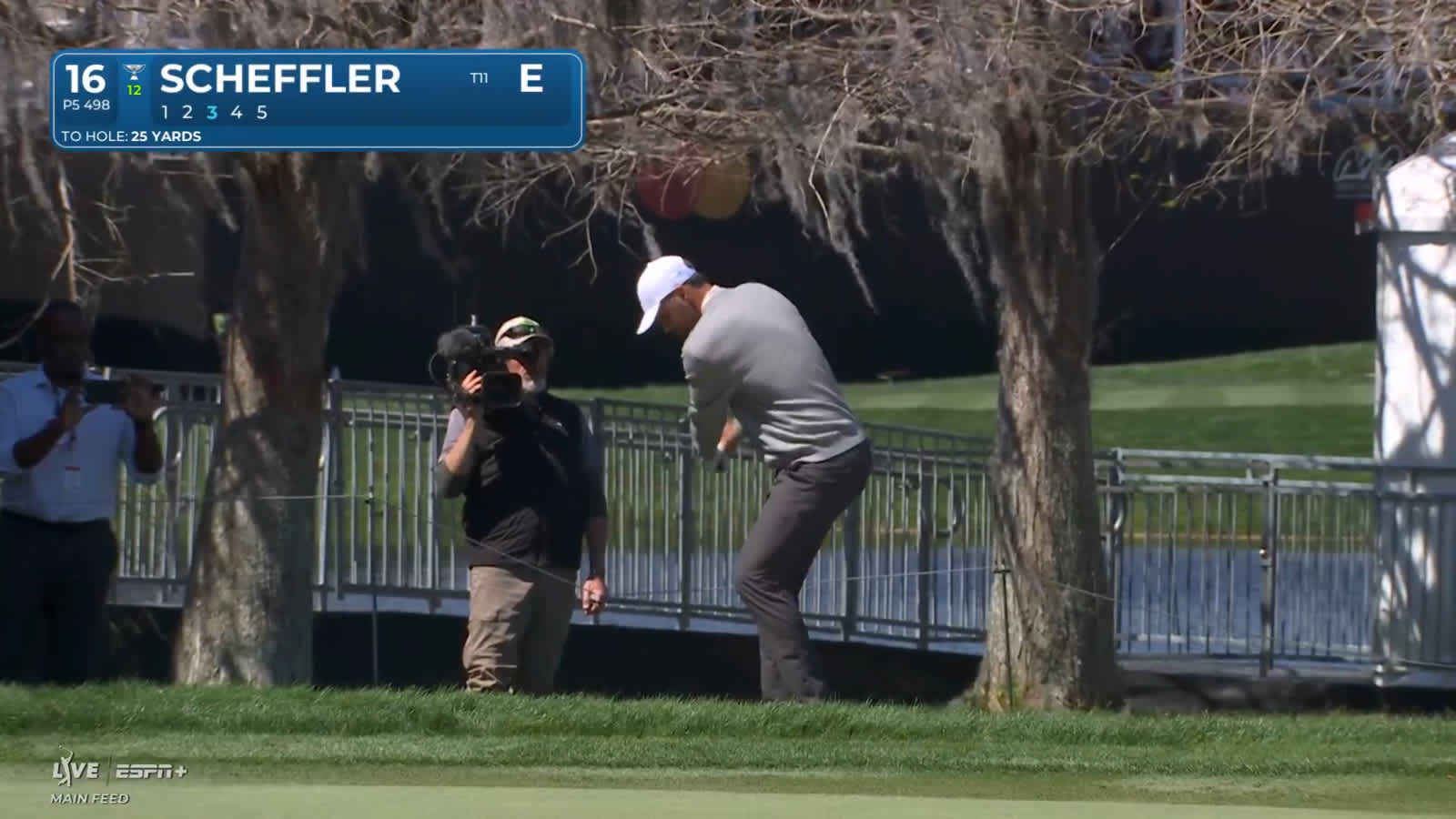 Scottie Scheffler gets up-and-down for birdie at Arnold Palmer