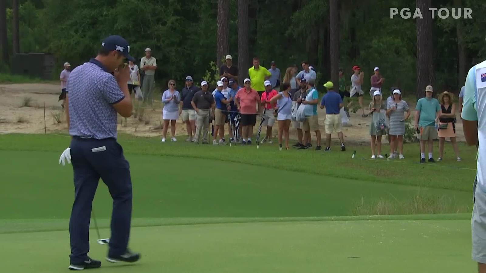 Danny Lee birdies No. 4 at Palmetto Championship