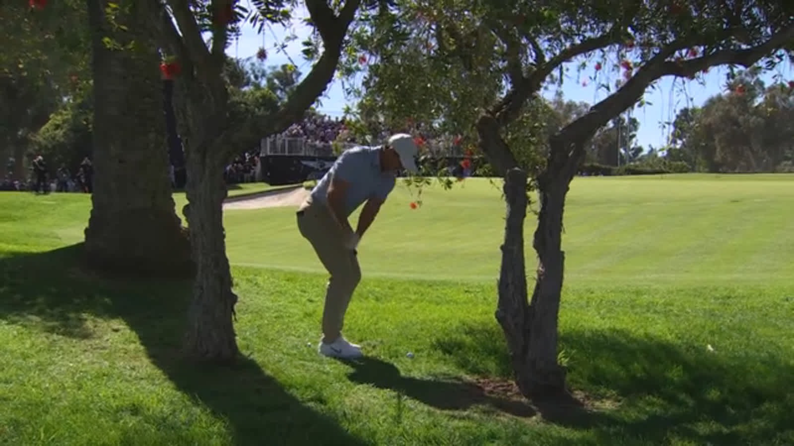 Golf is Hard | Riviera’s driveable 10th hole