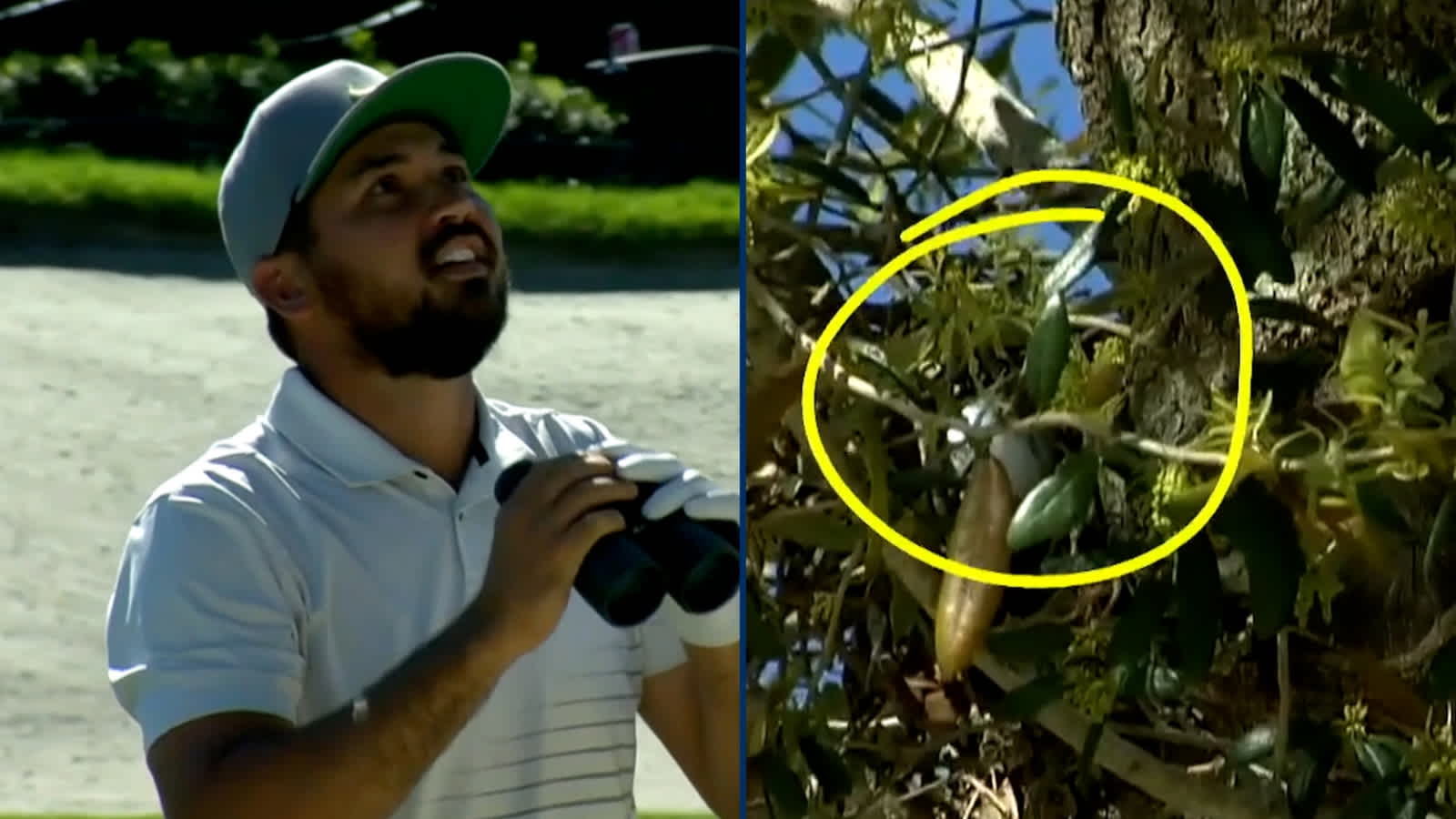 Jason Day’s tree trouble at the par-5 16th at Arnold Palmer