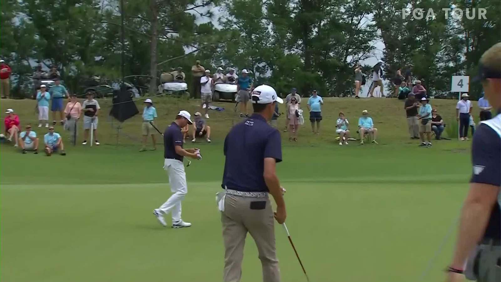 Chesson Hadley birdies No. 4 in Round 4 at Palmetto Championship