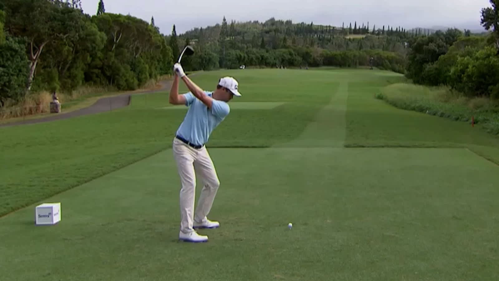 Breakdown of Harris English’s swing